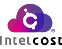 Inelcost